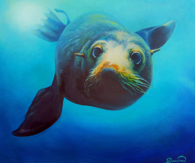 Marine Life Paintings